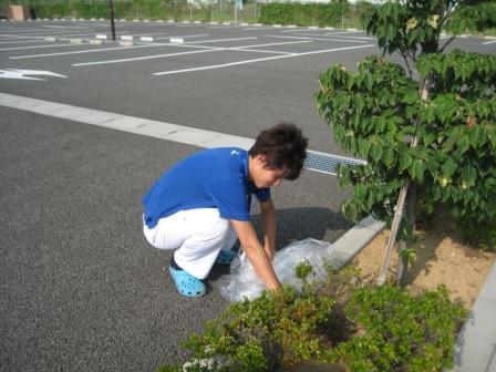 局部区域第109次清洁