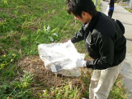 The 119th cleaning around the local area