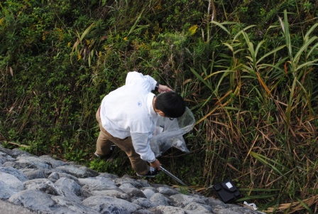 清洁局部区域