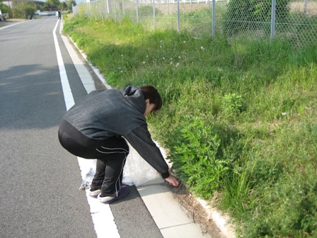 The 94th cleaning around the local area