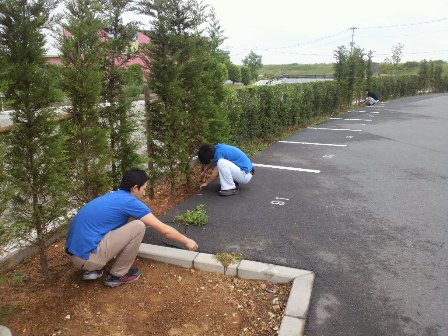 Pembersihan tempatan ke-142