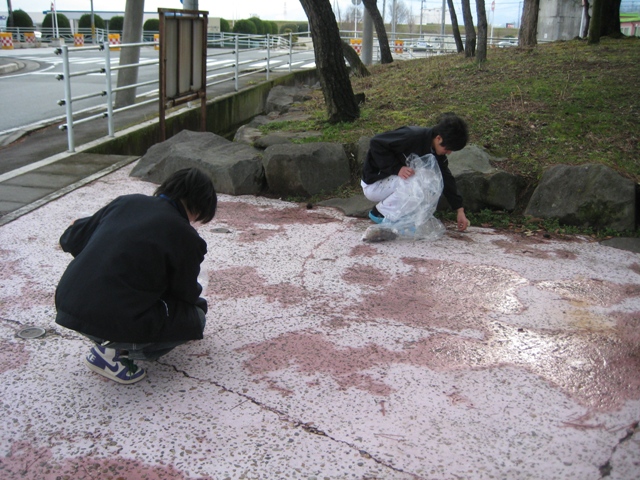 The 91th cleaning around the local area