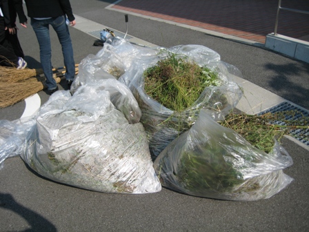 The 96th cleaning around the local area