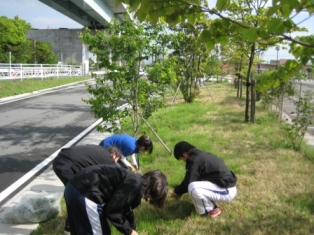 週に1度の周辺清掃