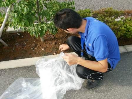 The 110th cleaning around the local area