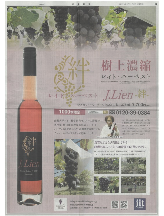 2023 กรกฎาคม 07 Yamanashi Shimpo โพสต์เกี่ยวกับไวน์ Muscat Bailey A